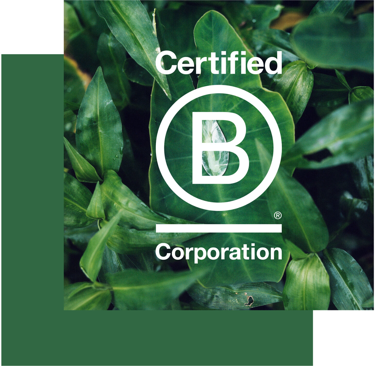 logo b corp vert